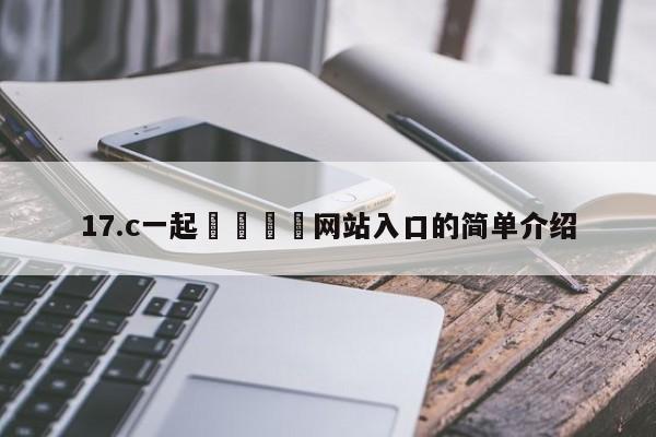 17.c一起🌿网站入口的简单介绍