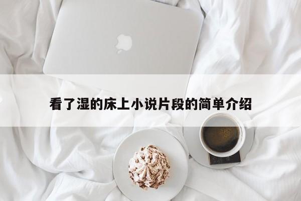 看了湿的床上小说片段的简单介绍