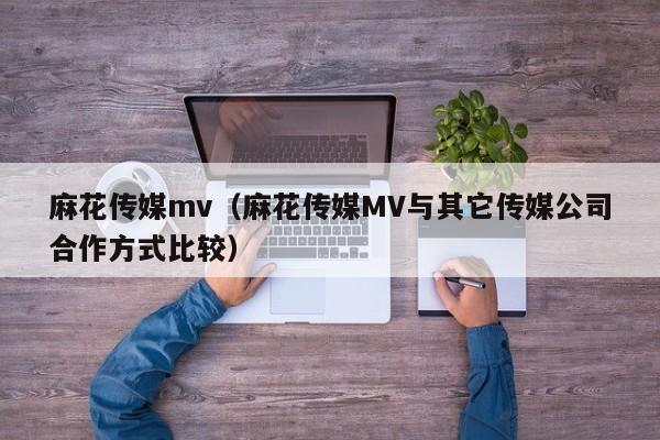 麻花传媒mv（麻花传媒MV与其它传媒公司合作方式比较）