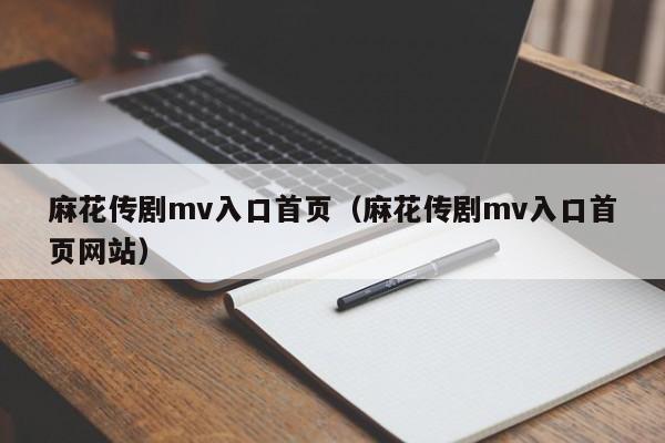 麻花传剧mv入口首页（麻花传剧mv入口首页网站）